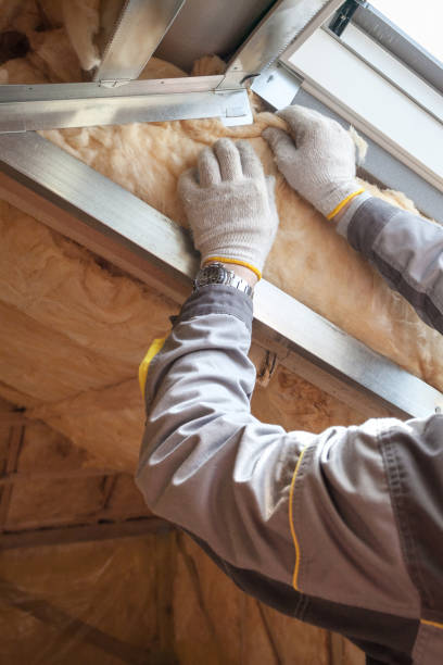 Insulation Inspection Services in Georgetown, IL